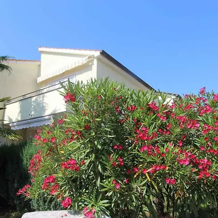 Апартаменты Marica 1 - Insel Krk 12957 *